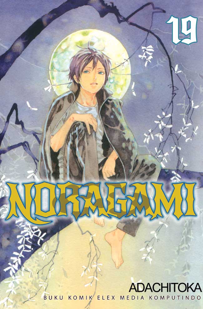 Gambar cover buku Noragami 19 dari penulis Adachitoka